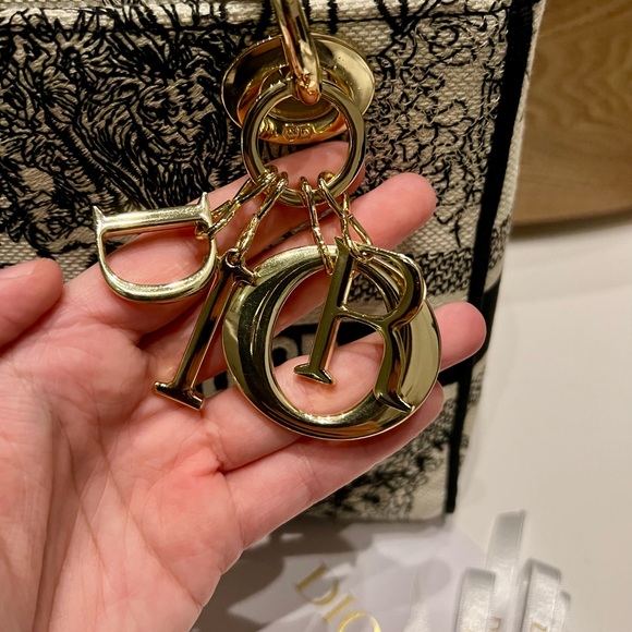 Christian Dior Medium Lady D-Lite Bag - Picture 12 of 12